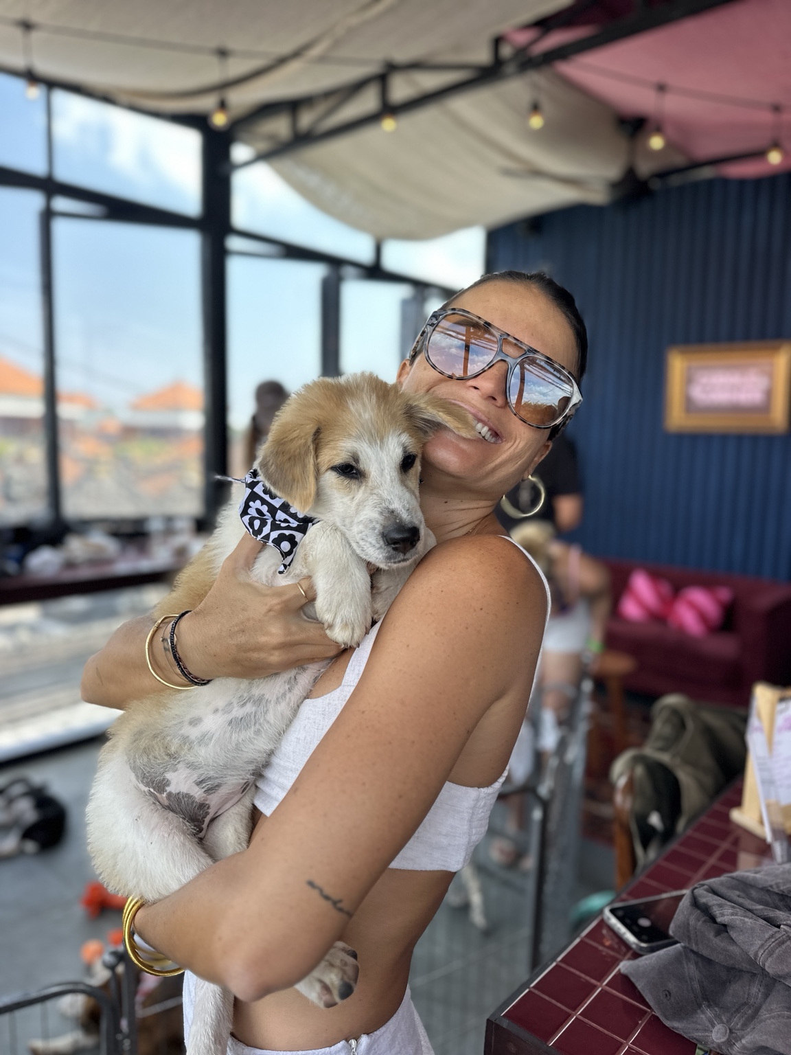 A rescued Bali dog relaxing at home with a foster carer