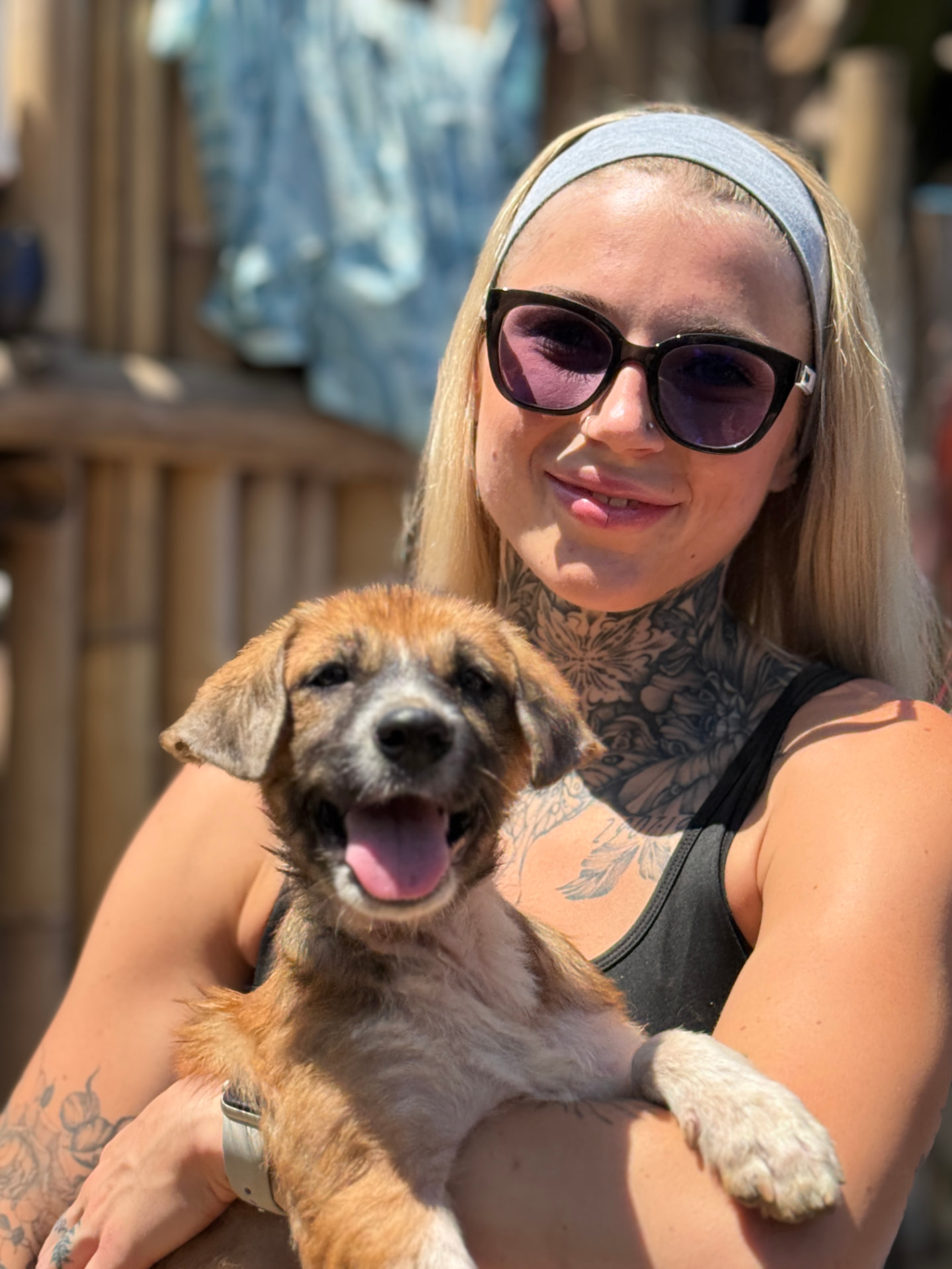 A rescued dog resting at the GAIA sanctuary