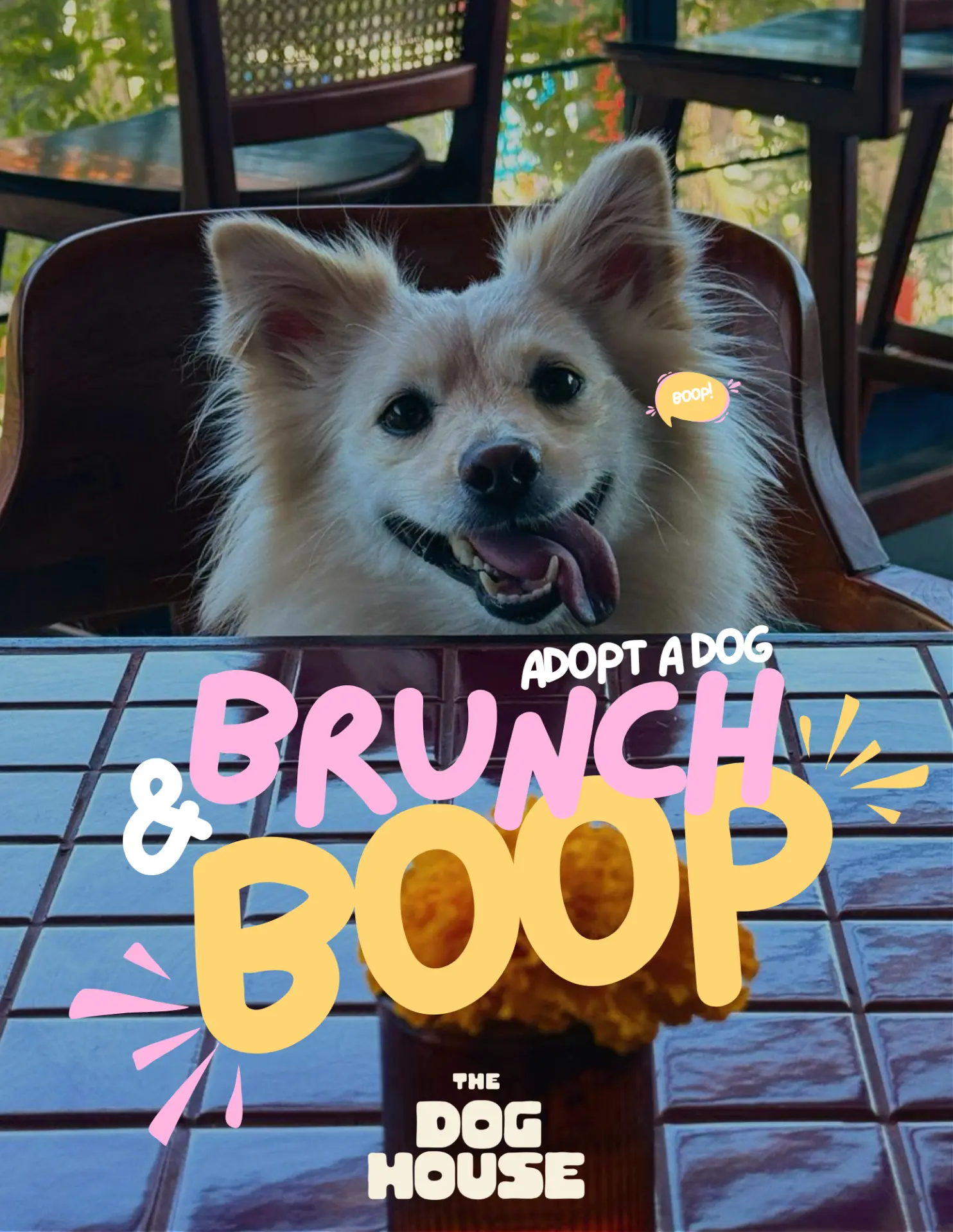 Adopt a Dog Brunch & Boop — The Dog House Cafe