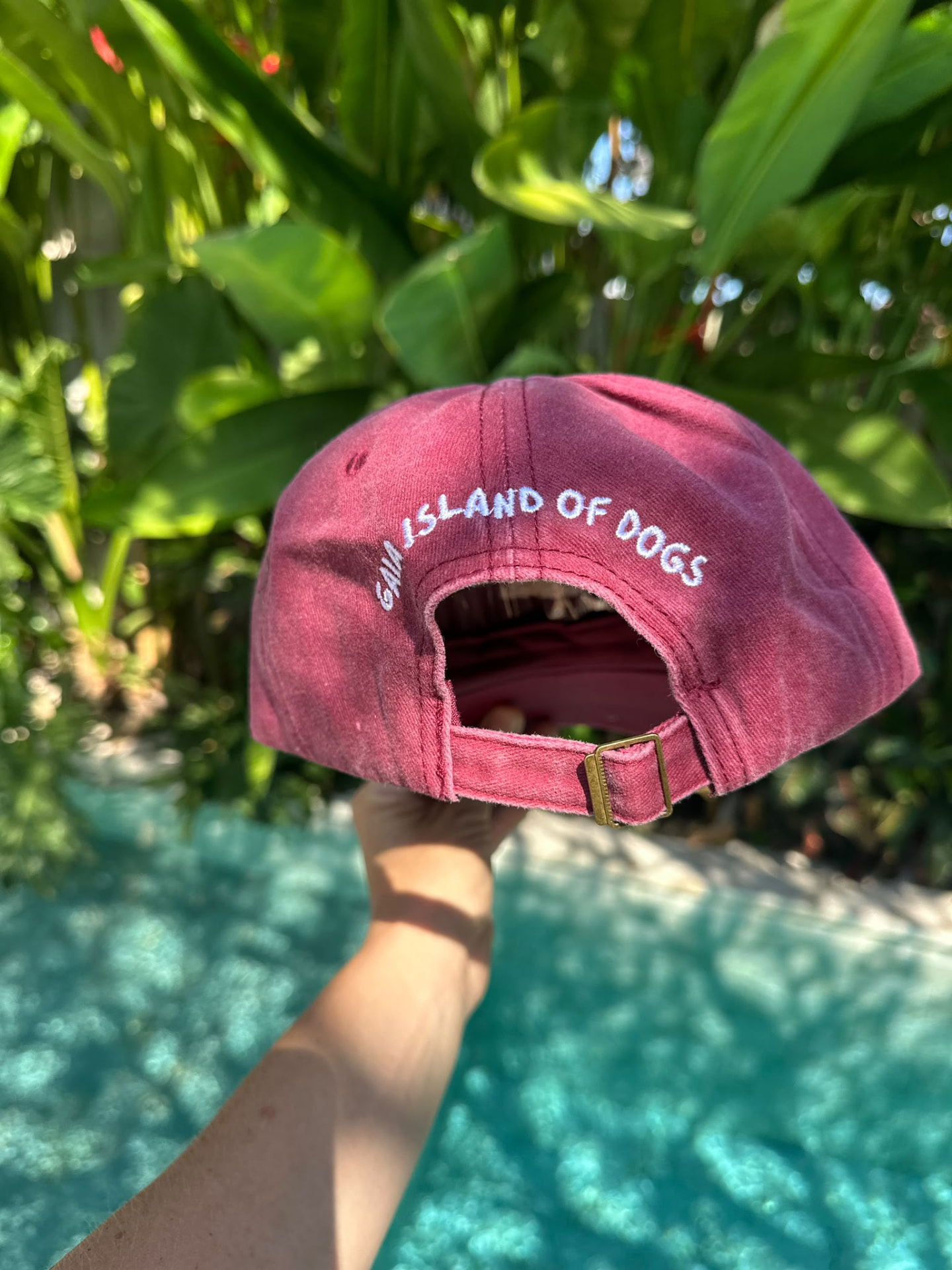 Back of a GAIA cap embroidered with GAIA Island of Dogs