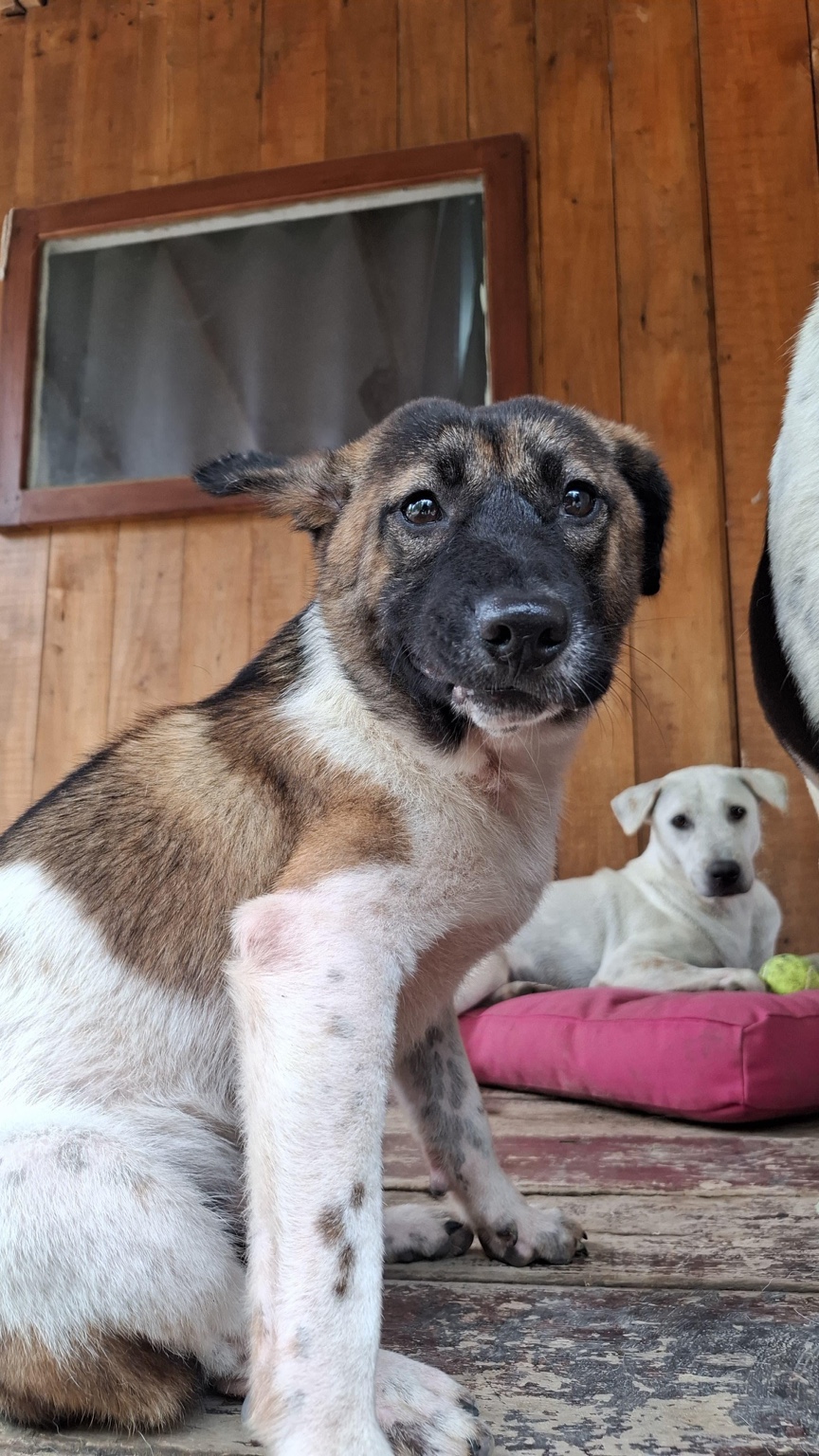 Peter Pan at GAIA Island of Dogs, Bali