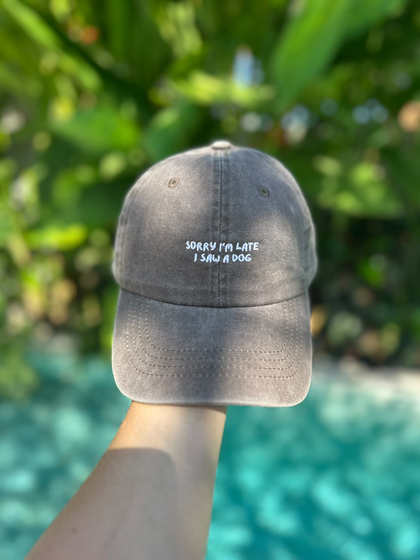 Sorry I'm late, I saw a dog cap in washed brown