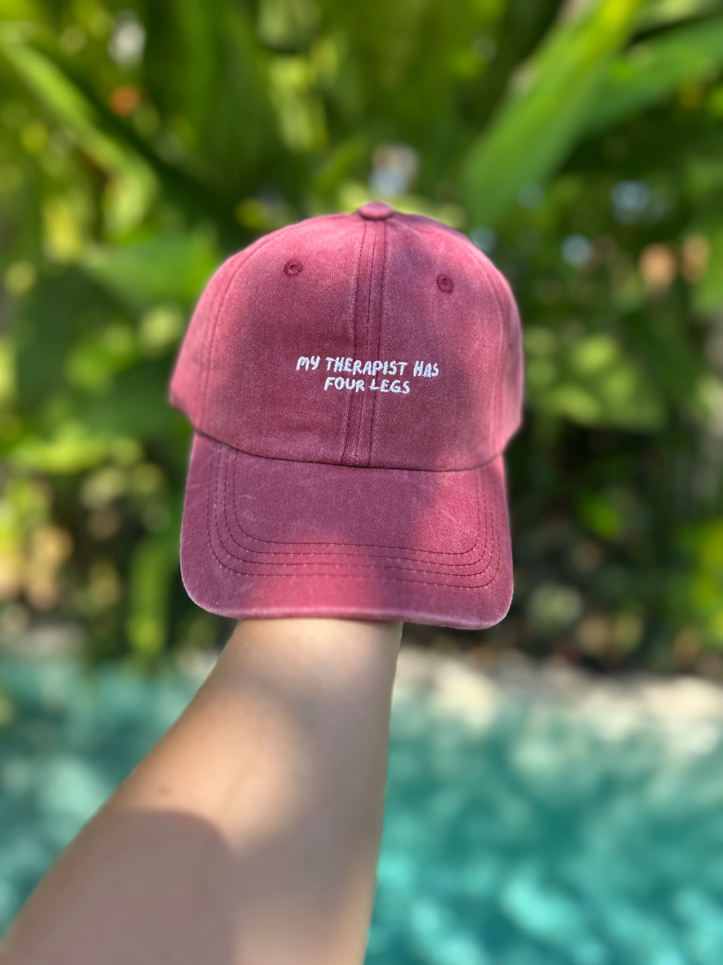 My therapist has four legs cap in washed red