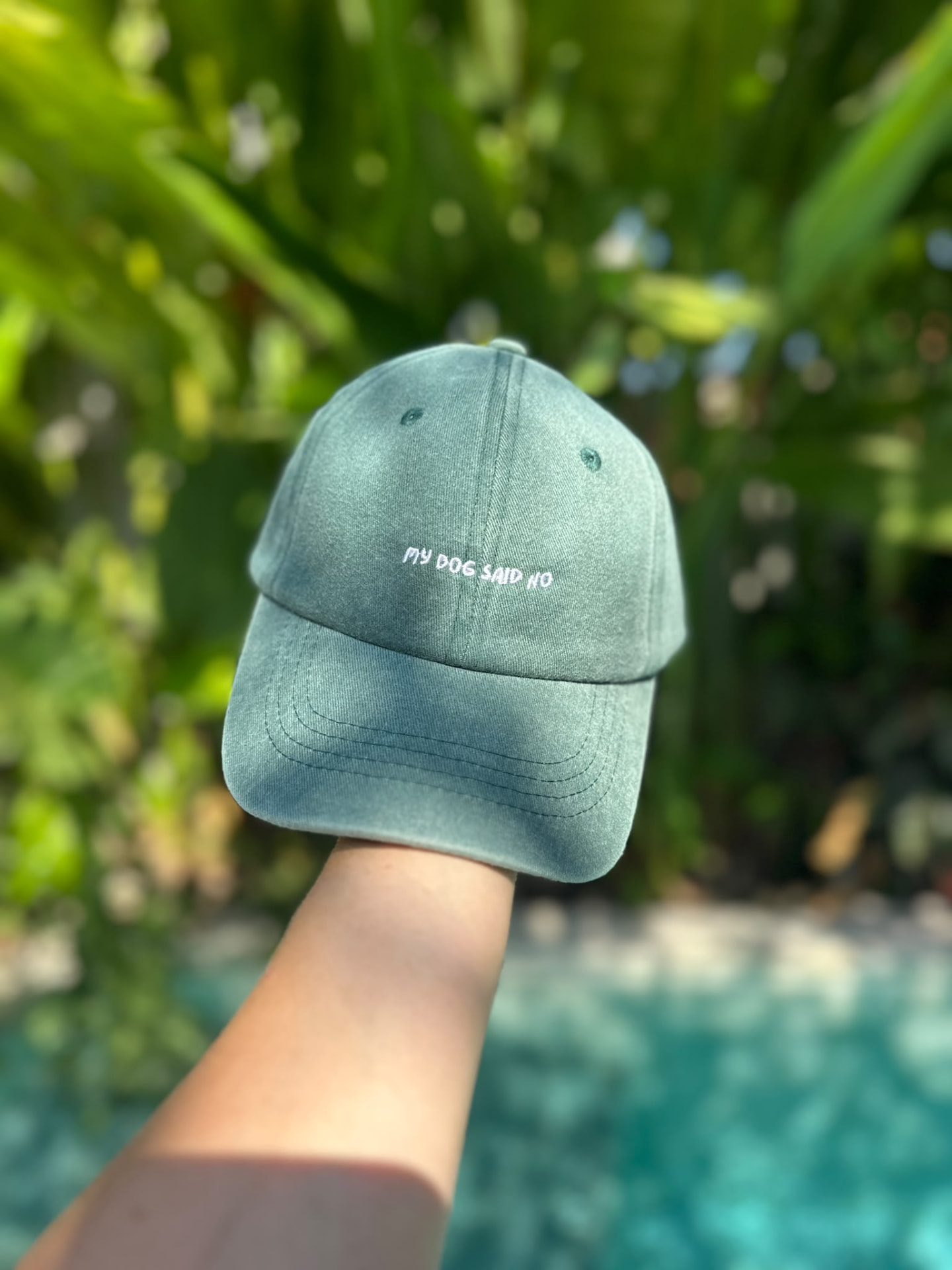 My dog said no cap in washed green