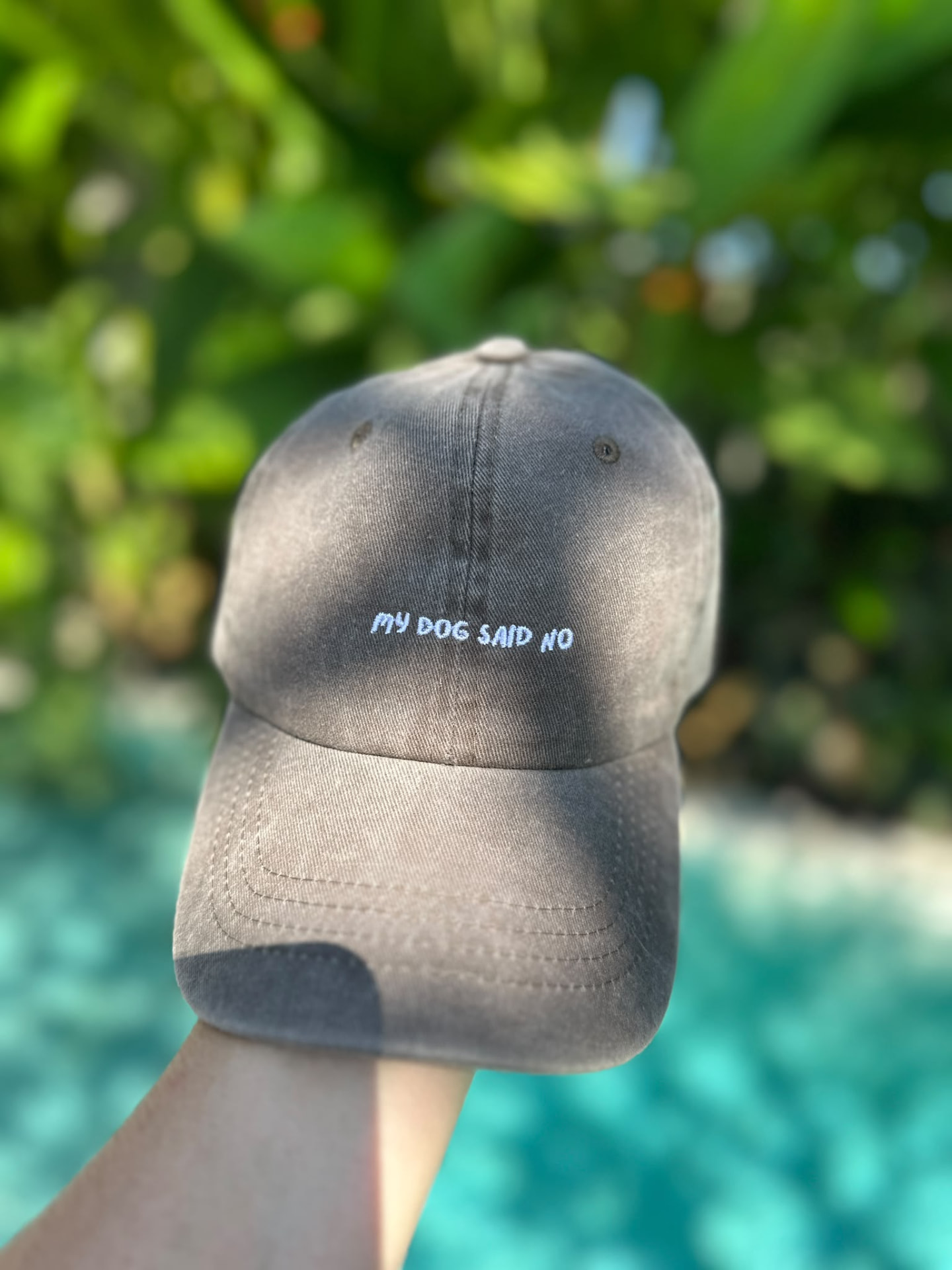 My dog said no cap in washed brown