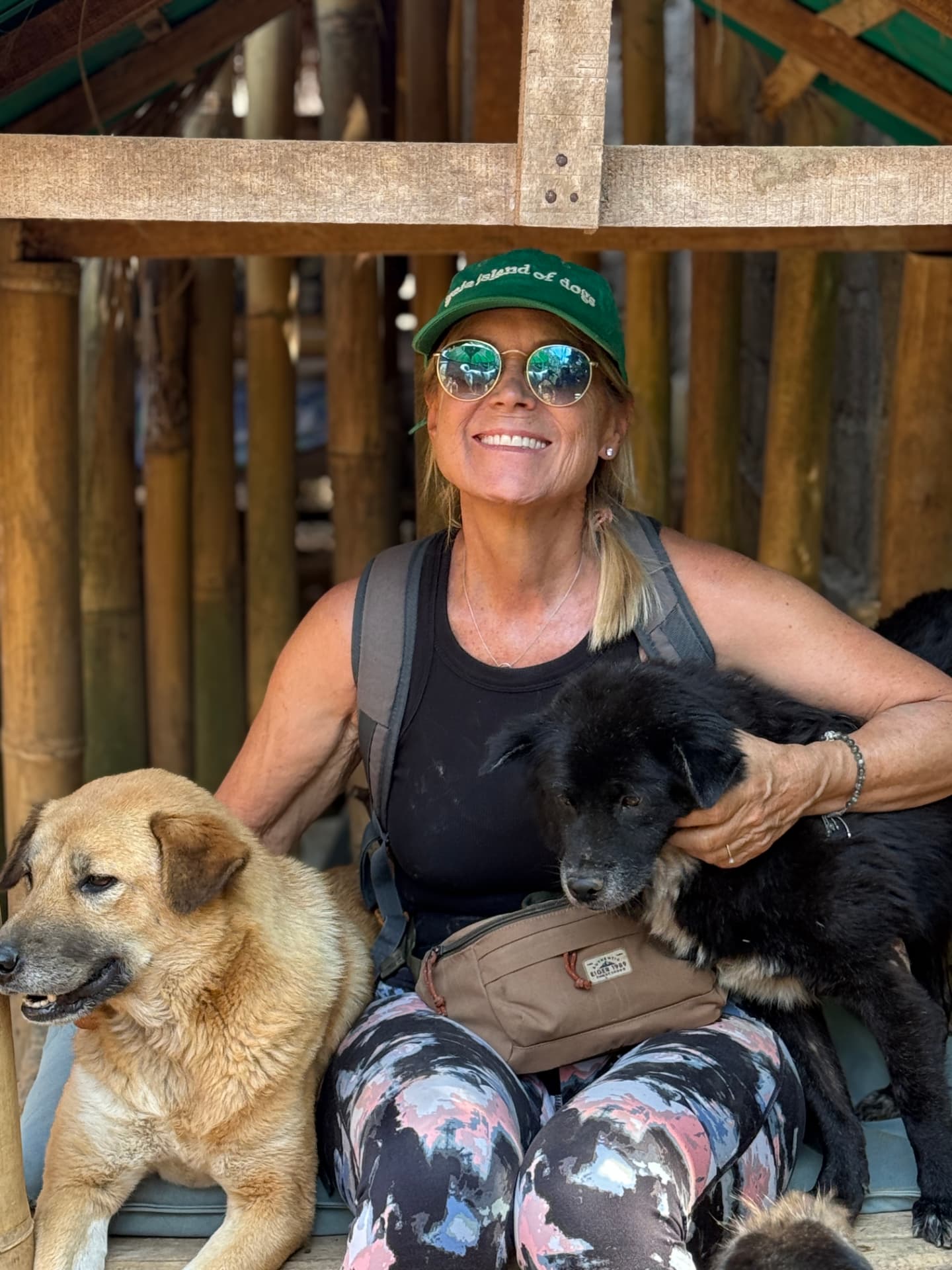 A visitor in a green cap sitting with a tan dog and a black dog