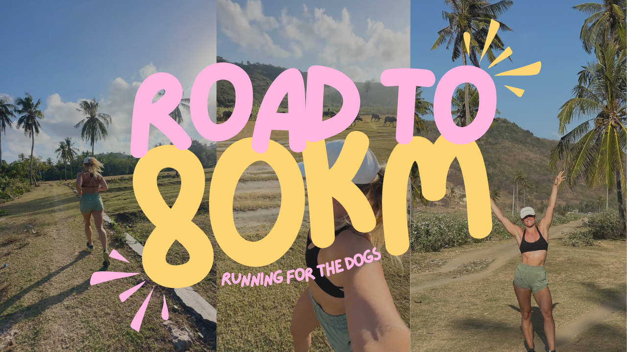 Road to 80km — Run for Gaia poster