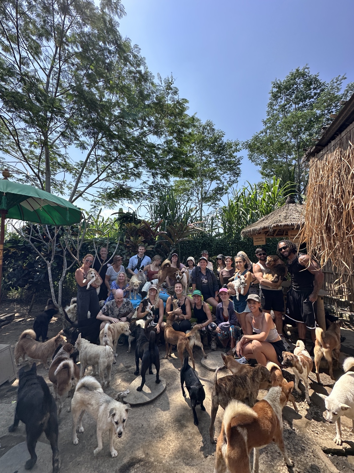 Life at GAIA