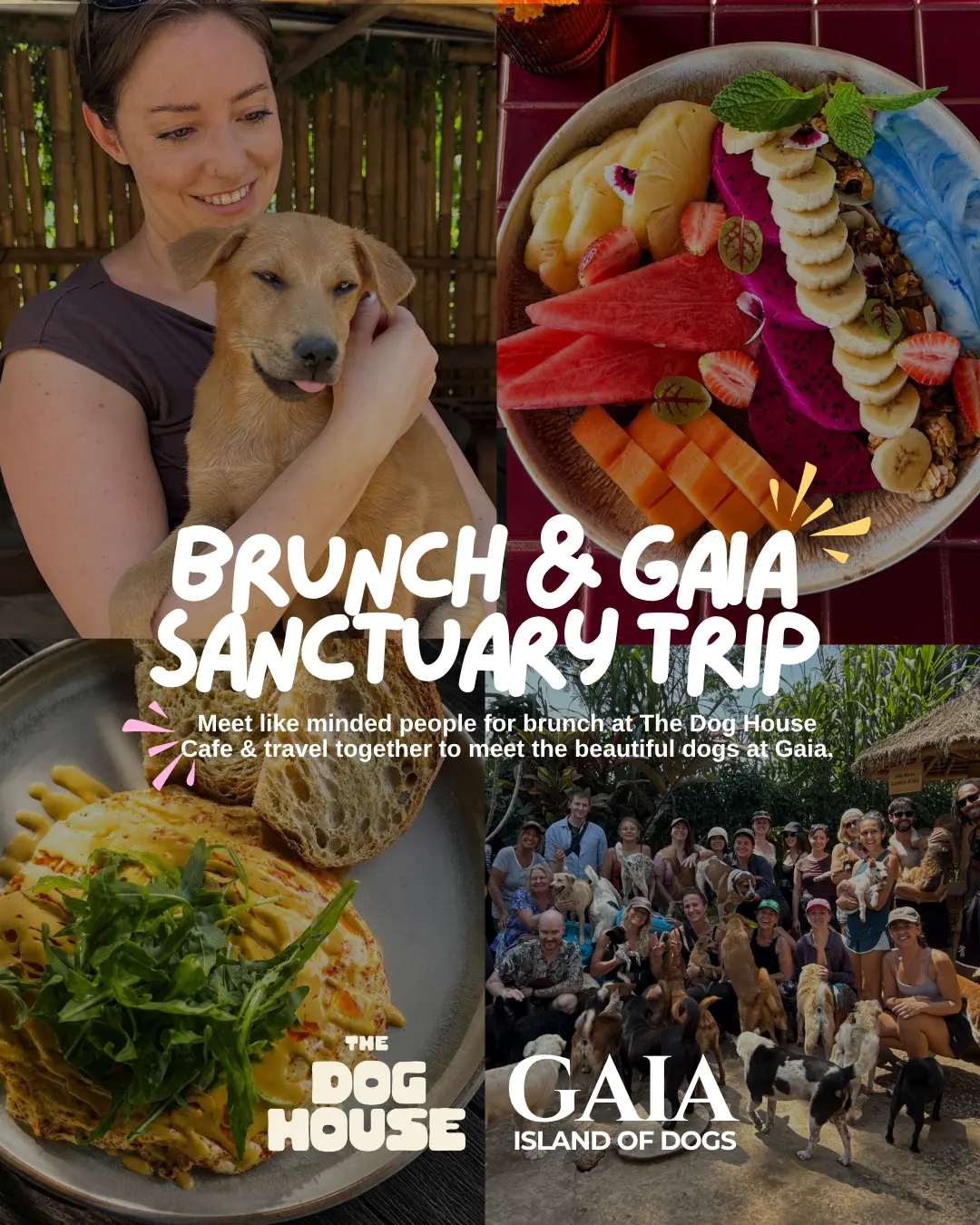 Brunch & GAIA Sanctuary Trip — The Dog House Cafe