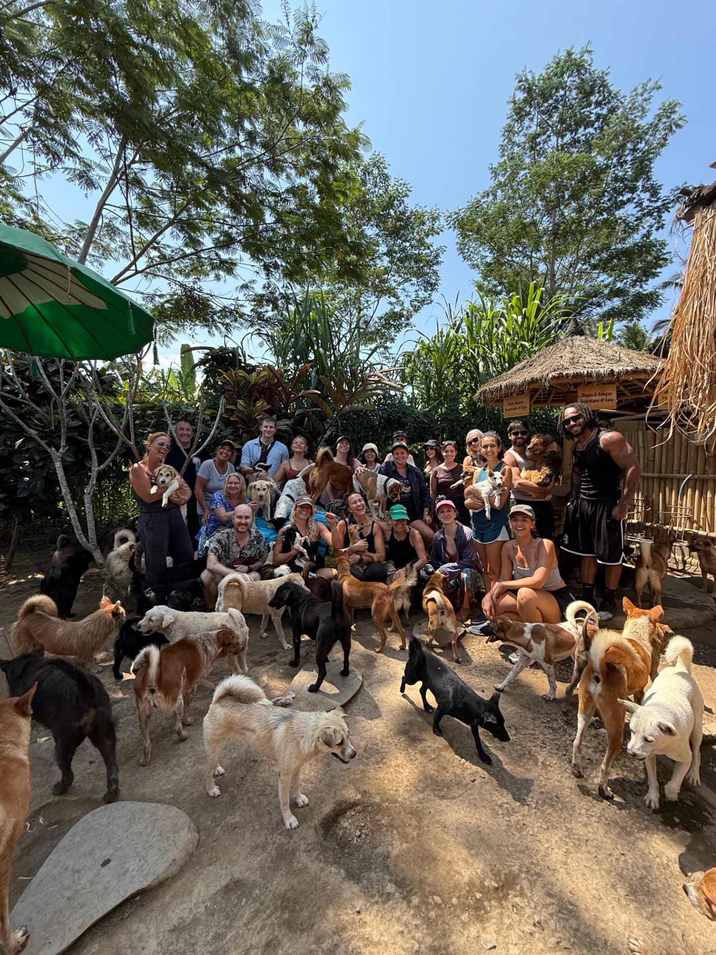 A large group of visitors surrounded by free-roaming dogs at GAIA