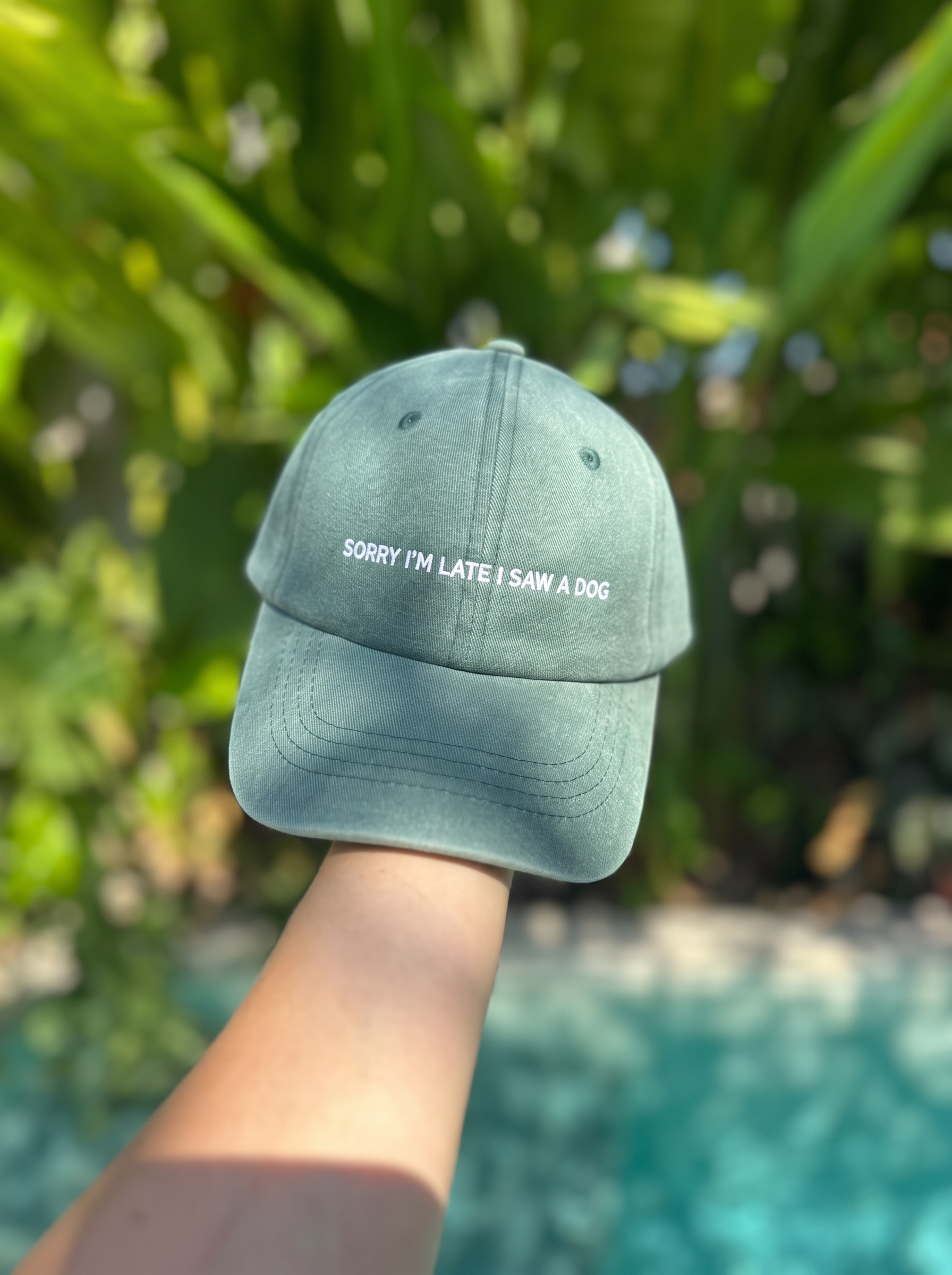 Sorry I'm late, I saw a dog cap in washed green