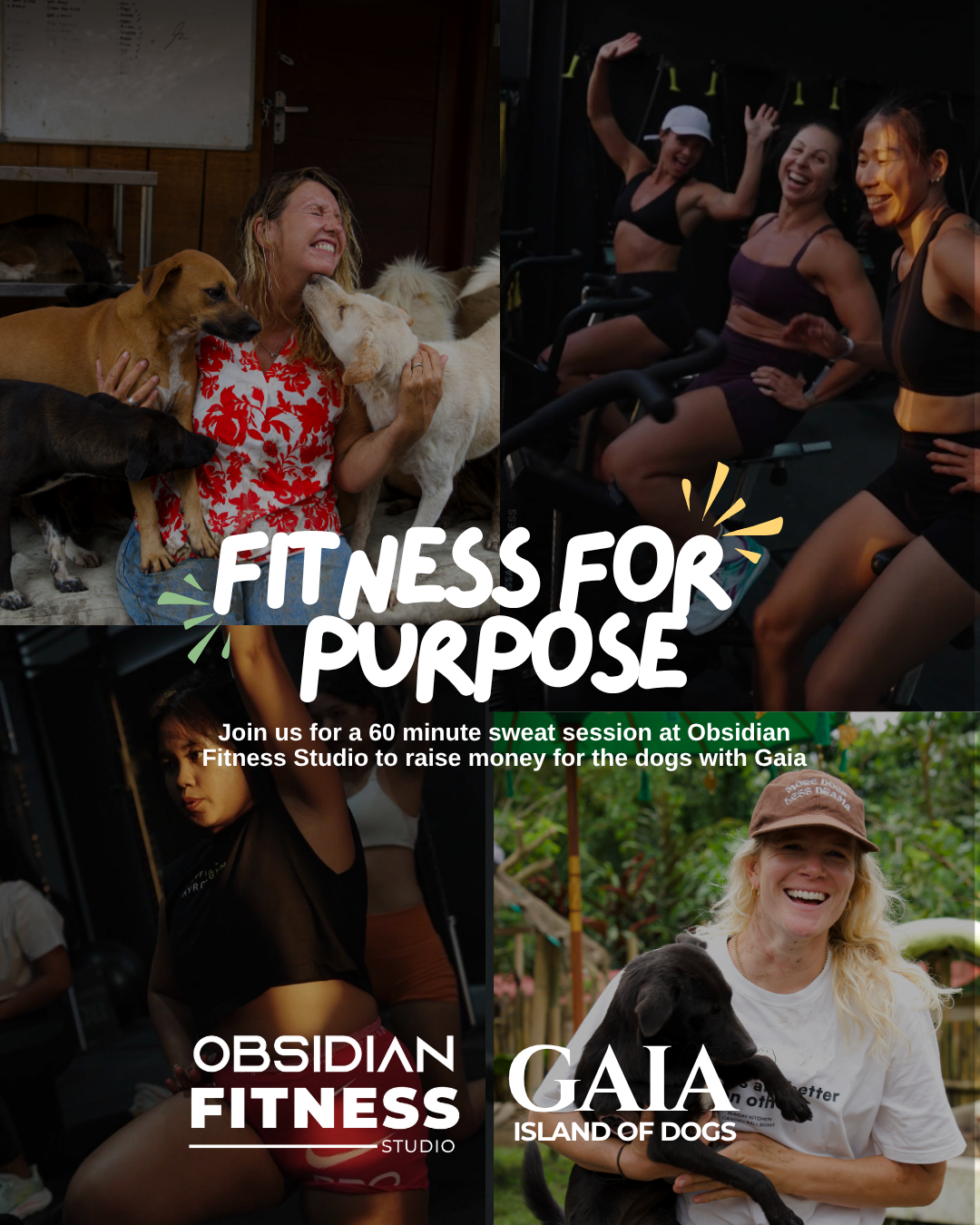 Fitness for Purpose